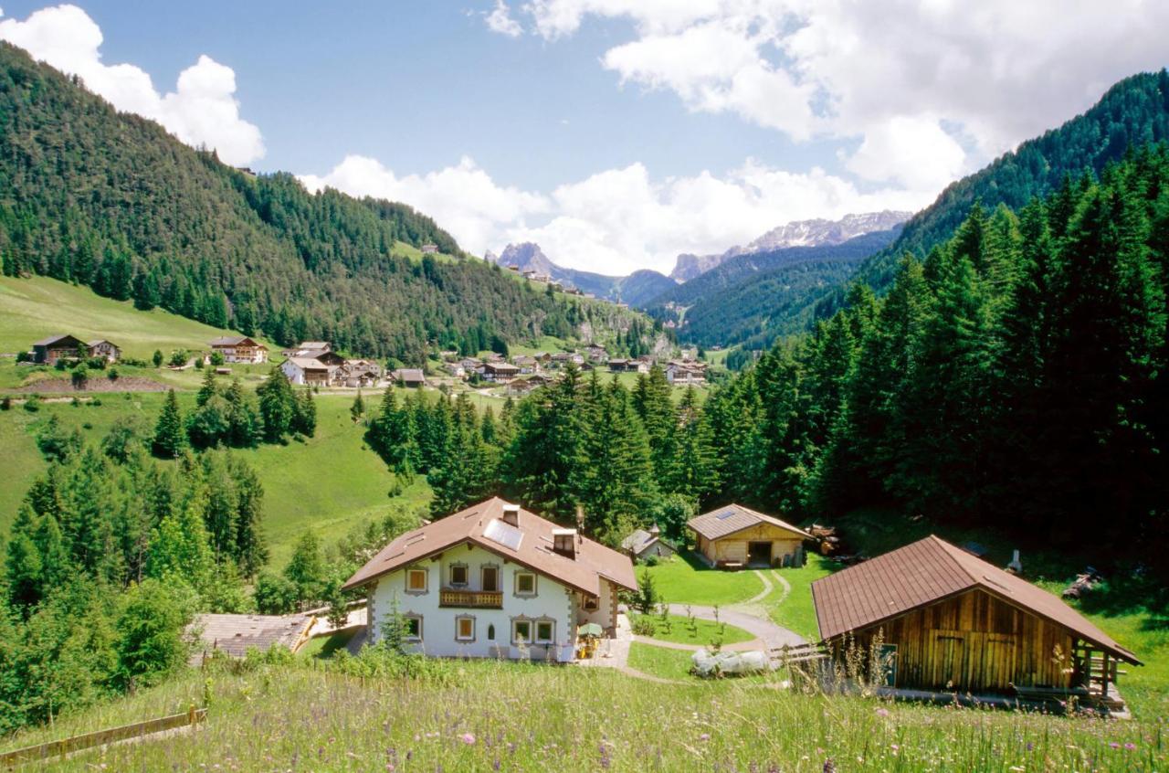 Apartment Puciacia - Bauernhof Santa Cristina Val Gardena Dış mekan fotoğraf