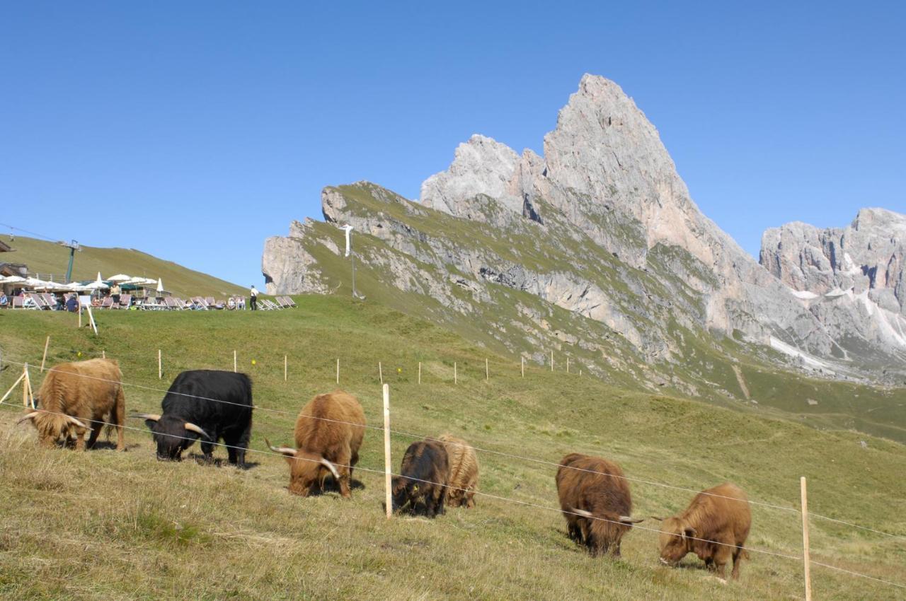 Apartment Puciacia - Bauernhof Santa Cristina Val Gardena Dış mekan fotoğraf