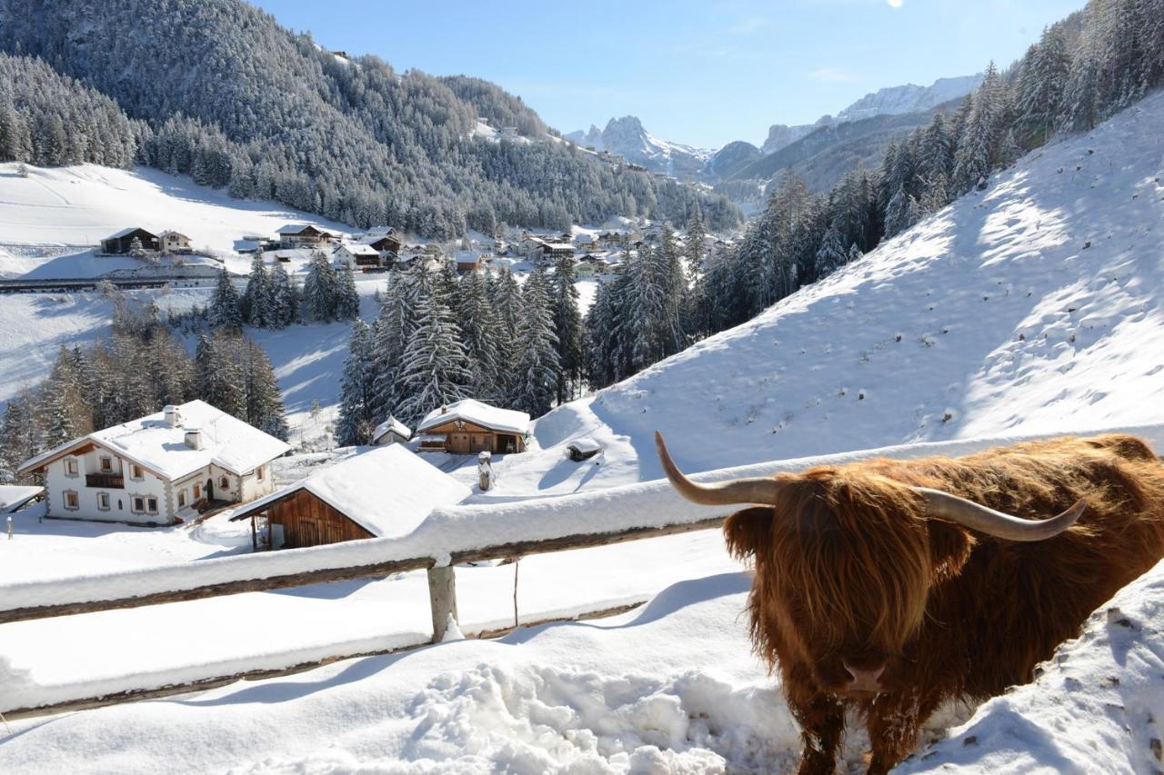 Apartment Puciacia - Bauernhof Santa Cristina Val Gardena Dış mekan fotoğraf