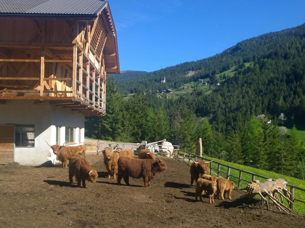 Apartment Puciacia - Bauernhof Santa Cristina Val Gardena Oda fotoğraf