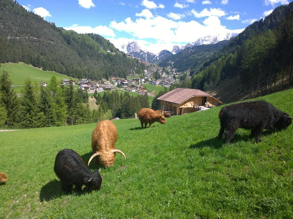 Apartment Puciacia - Bauernhof Santa Cristina Val Gardena Oda fotoğraf