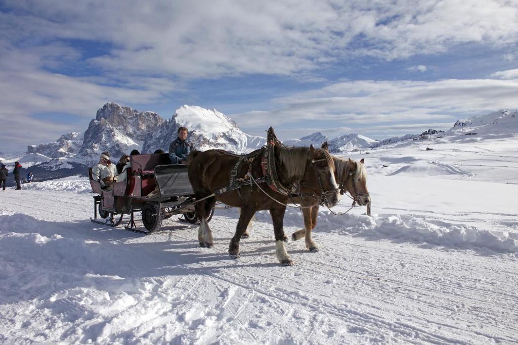 Apartment Puciacia - Bauernhof Santa Cristina Val Gardena Dış mekan fotoğraf